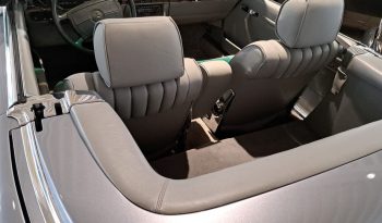 
									560 SL Perlmutgrau / Leder grau voll								