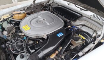 
									560 SL Silber / Mittelrot voll								