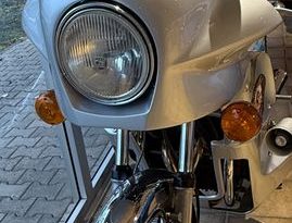 Kawasaki Z1 F 1000 Jim Goose