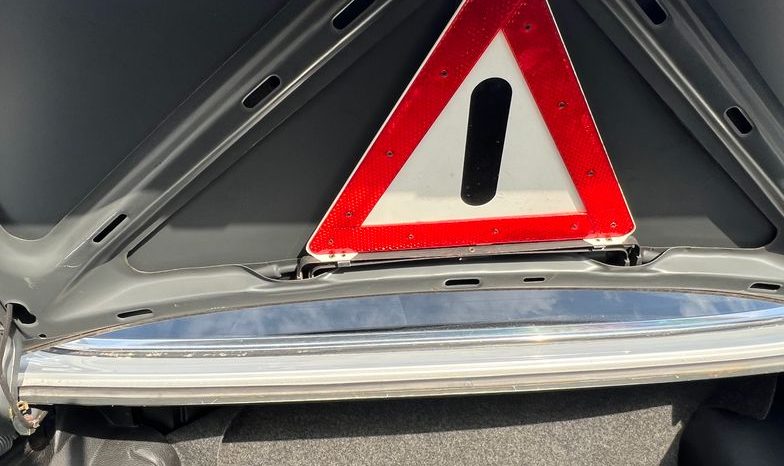 
								200 Benziner W123 Automatik / ESSD voll									