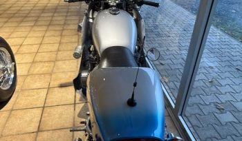 Kawasaki Z1 F 1000 Jim Goose