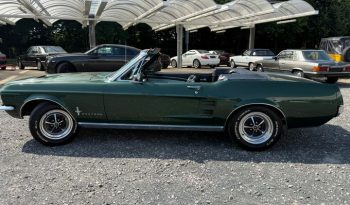 
									Ford Mustang Cabrio 6390 ccm Big Block 390 er voll								