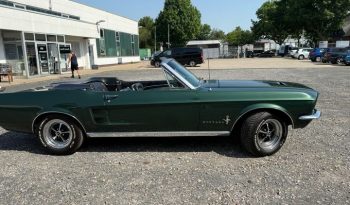 
									Ford Mustang Cabrio 6390 ccm Big Block 390 er voll								