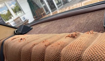 
									Mercedes-Benz 220 D / 8 Lenkradschaltung TOP Zustand voll								