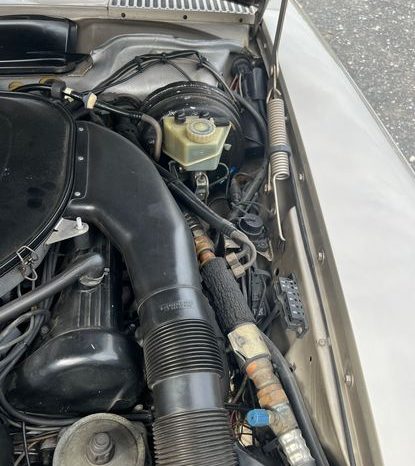 
								Mercedes-Benz SL 560 voll									